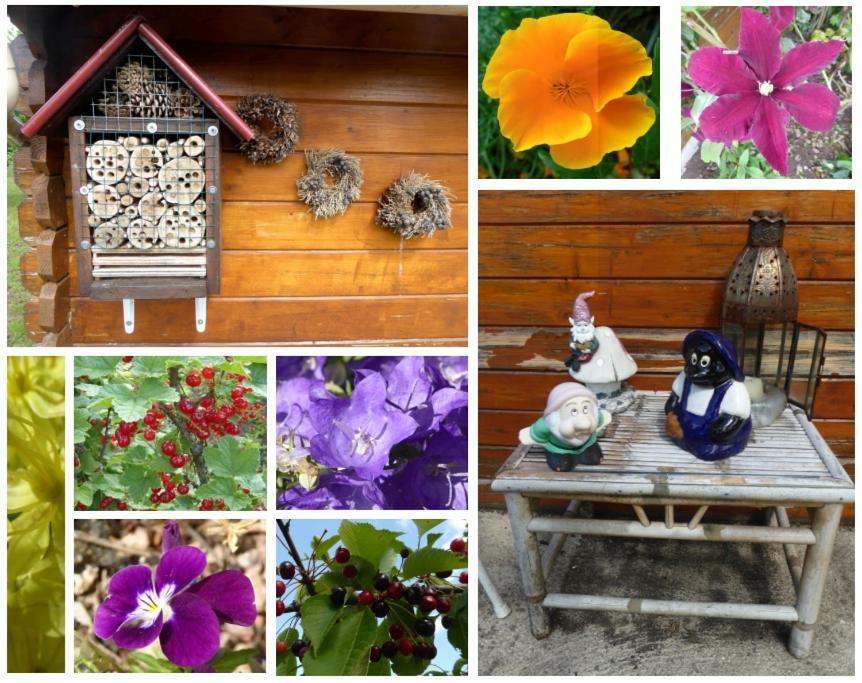 Au Rendez Vous De L'Auxois B&B Essey エクステリア 写真